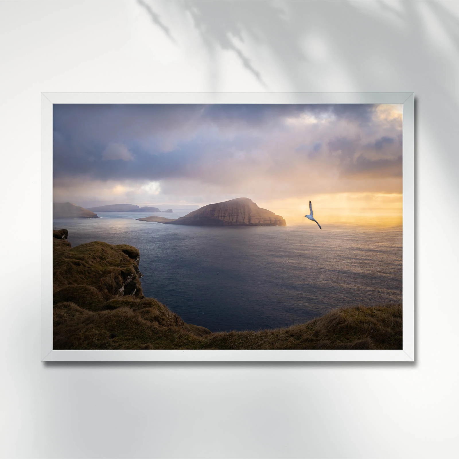 Serene coastal sunset with flying bird. Faroe Islands